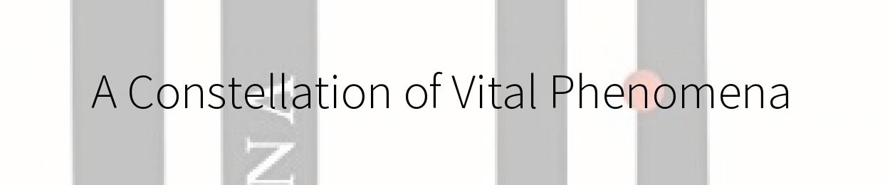 A Constellation of Vital Phenomena by Anthony Marra