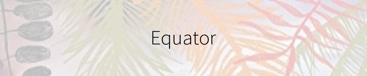 Equator by Miguel Sousa Tavares